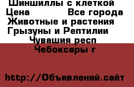 Шиншиллы с клеткой › Цена ­ 8 000 - Все города Животные и растения » Грызуны и Рептилии   . Чувашия респ.,Чебоксары г.